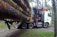 Un camion dans le terre-plein…