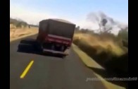 Compilation – Trucks wags his tail