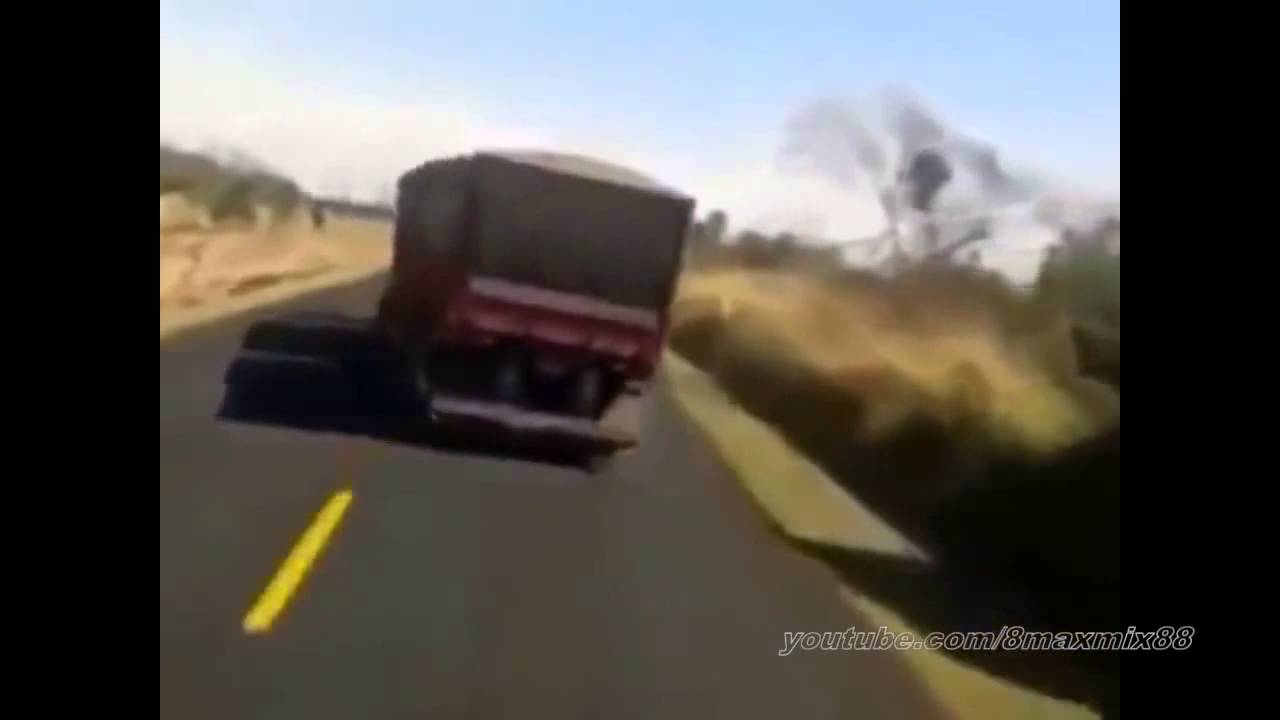 Compilation – Trucks wags his tail